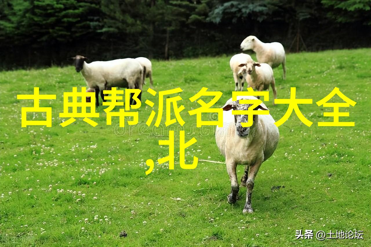女孩团体的名字应该怎么命名