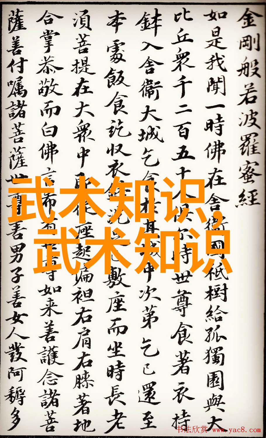 掌握基本动作初学者必备的功夫训练方法