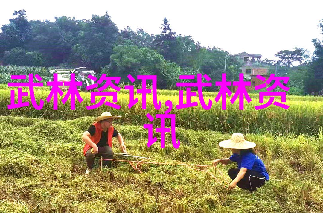 从经典到现代古代武功口诀在当今社会的价值取向