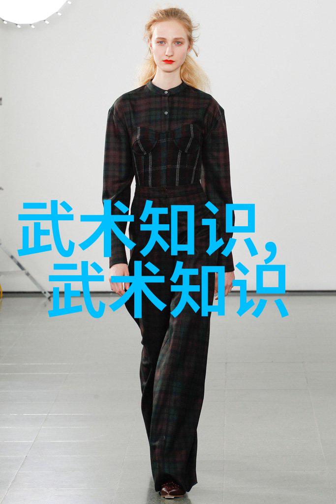 掌握内功外功自学武术的关键要素
