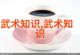 数据驱动揭秘世界上最狠的拳法-雷生霖