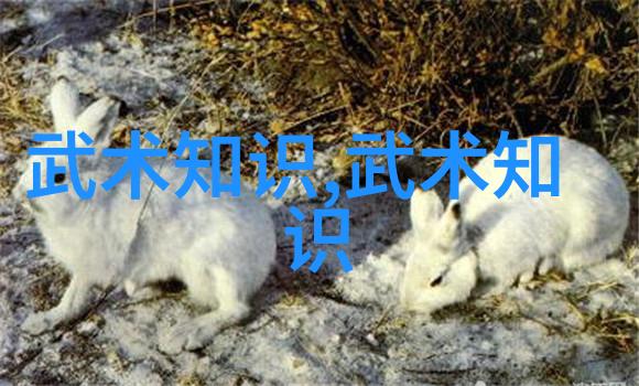 中华民族精神的体现深入研究中国十大最强武术的内涵与意义