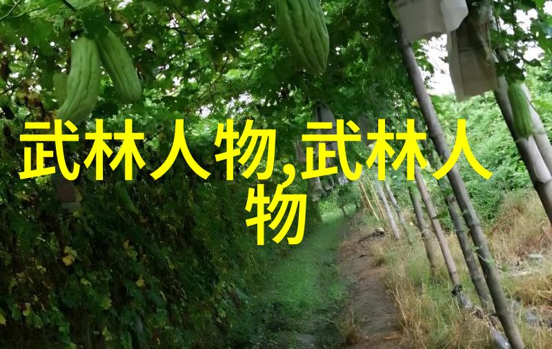 男人眼中的女人武功好揭秘男性对女性武艺的欣赏