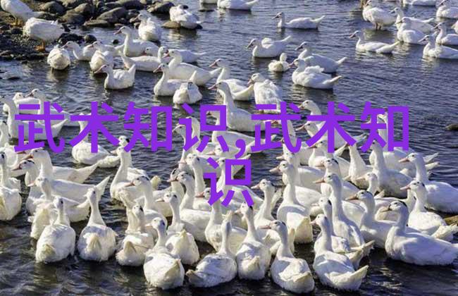 武术拳法精髓揭秘拳法十六招式的奥秘与实践