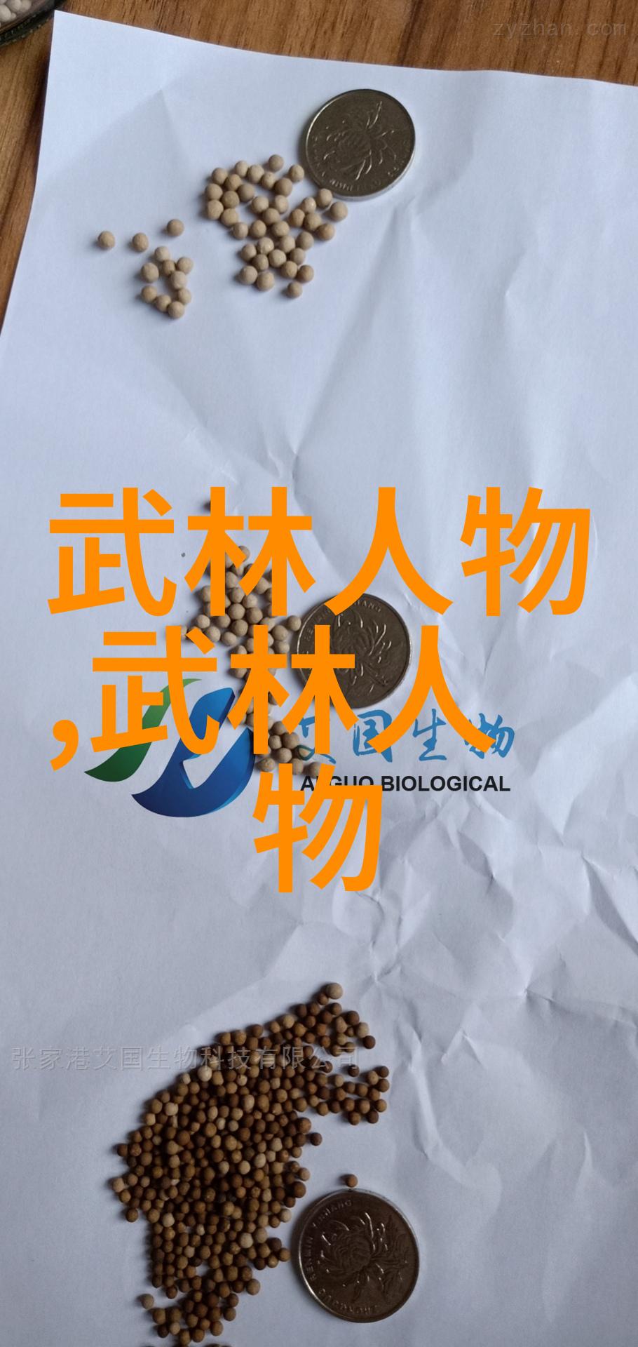 太极拳24式大冒险从大盘腿到一条龙跟我一起扭腰玩转