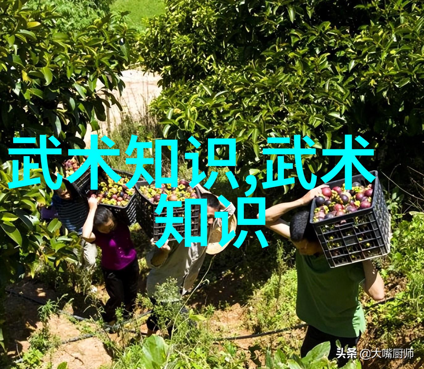 中国武术十大拳法排名古龙神功太极剑法八卦掌形意拳詠春拳少林寺内功心法