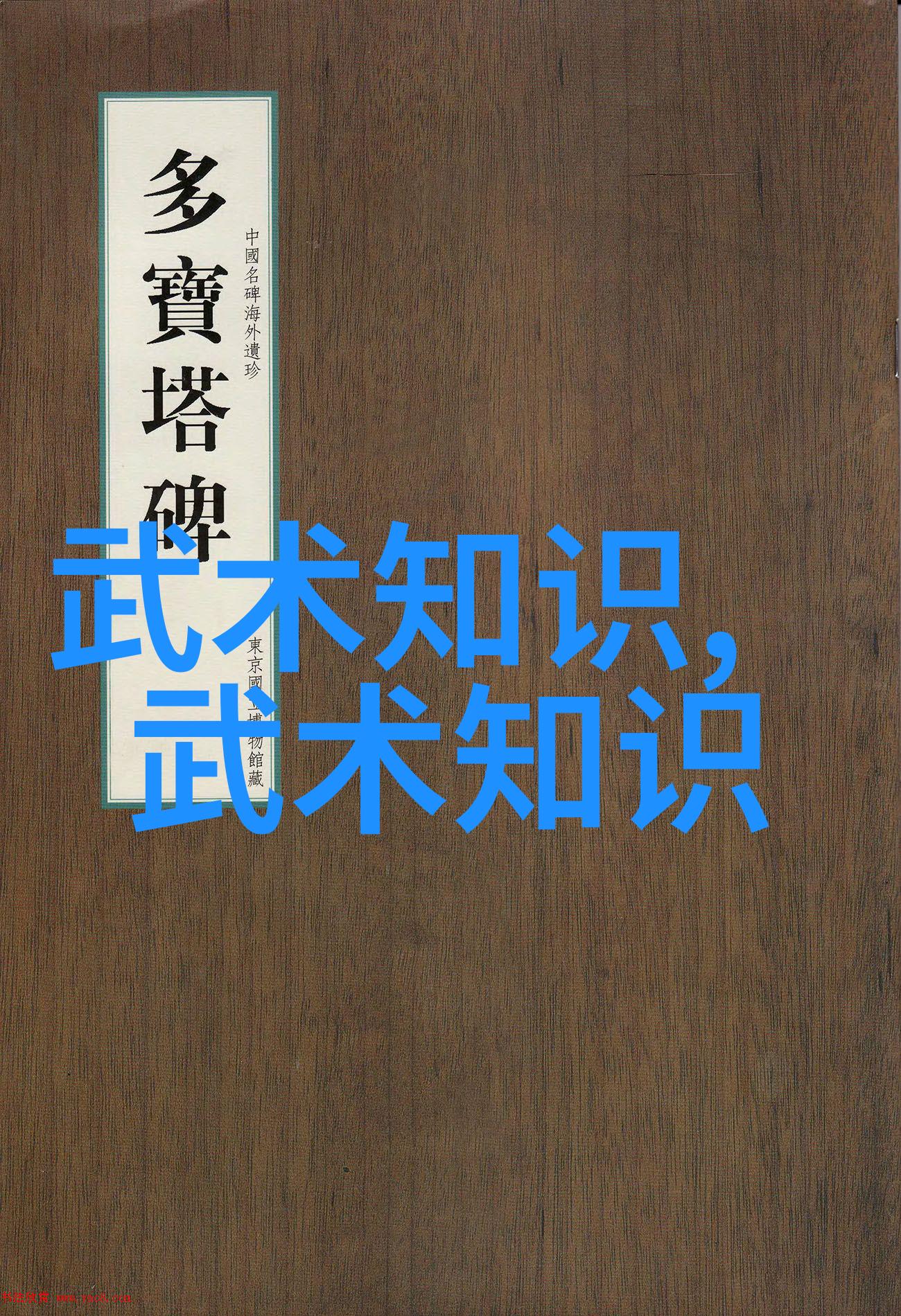 太极拳24式图解详解古老内功心法的精髓