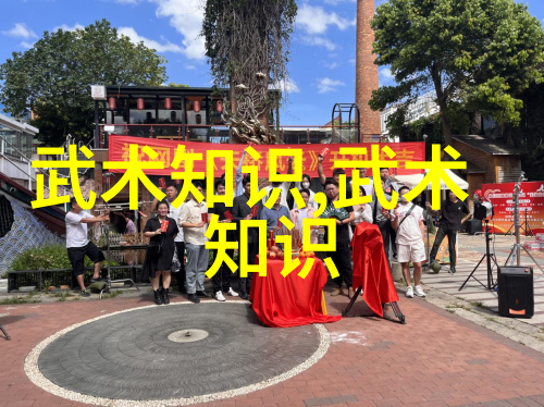武术套路拳法入门之旅掌握基本技巧与节奏