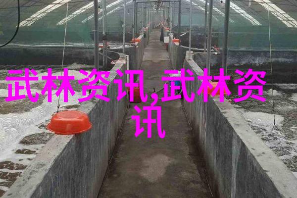 轻功飞翔之路揭秘如何练习飘然起舞的秘诀