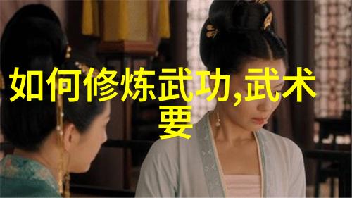 全球武术大师共享武功秘籍大全中的精髓是什么