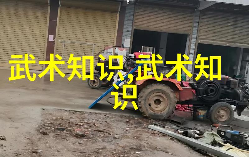 24式太极拳口诀解读掌握内外兼修的艺术之谜