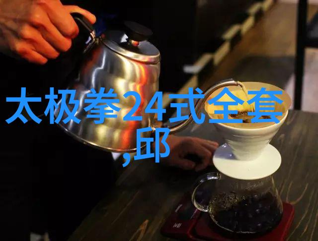 太极拳口令全套挥洒精髓的艺术语言