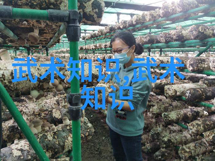 仙气十足的帮派名字女生风华绝代的女战士