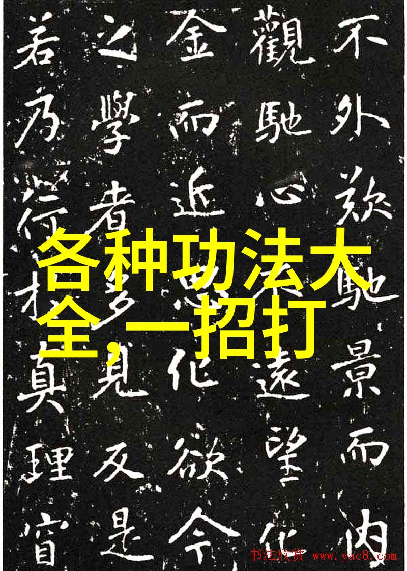 中国武术-中国30个武术门派大全探秘中华武林的瑰宝