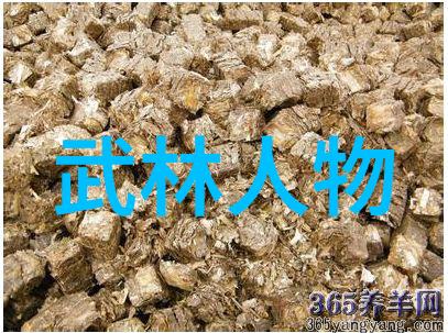 幽暗与辉煌双面帮会传说