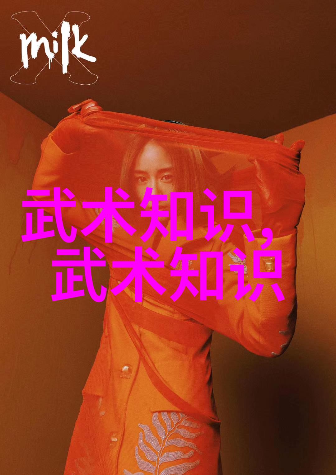 一身两手掌握多种技艺跨学科研究中国各种武术流派
