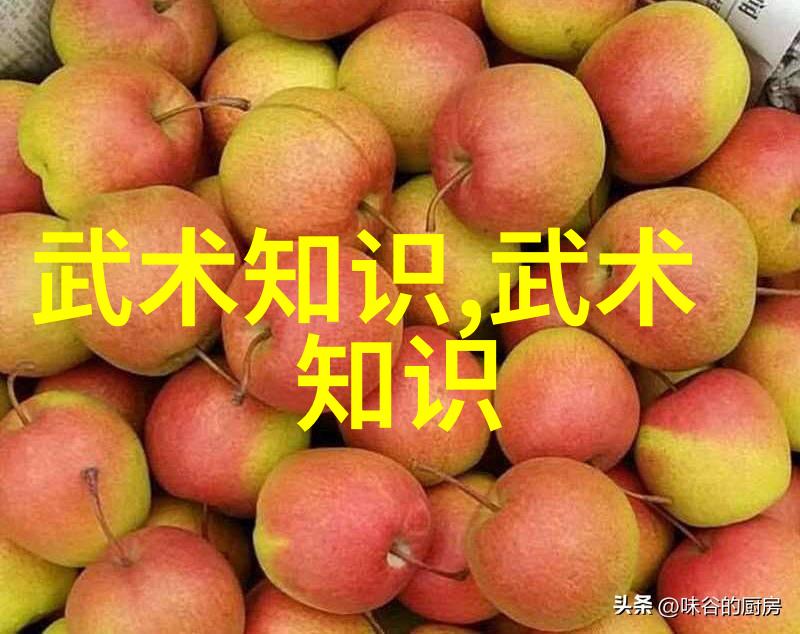 身法秘籍名称-修炼之道揭秘传承千年的内功心法