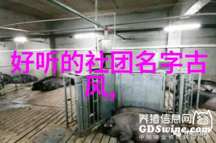 灵魂的九重幻变真灵九变探秘