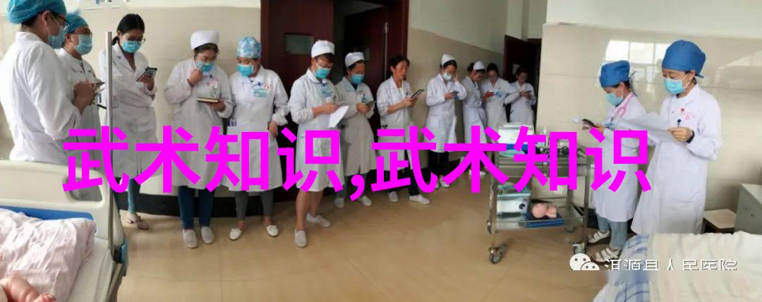 秘境拳谱杨门太极神功