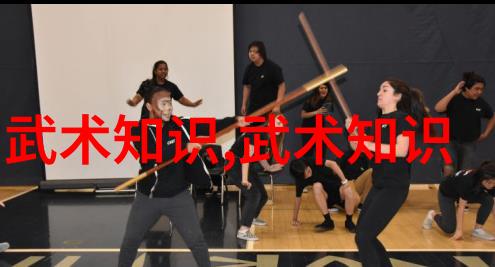 太极拳-揭秘太极拳24式图解掌握内外兼修的武术精髓