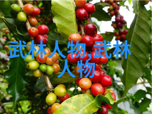 太极拳24式慢动作讲解 - 掌握太极之道详解24式慢练技巧