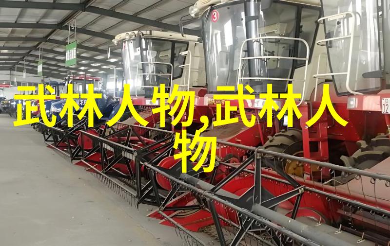 中华武术古韵探索十二大基本动作的精髓