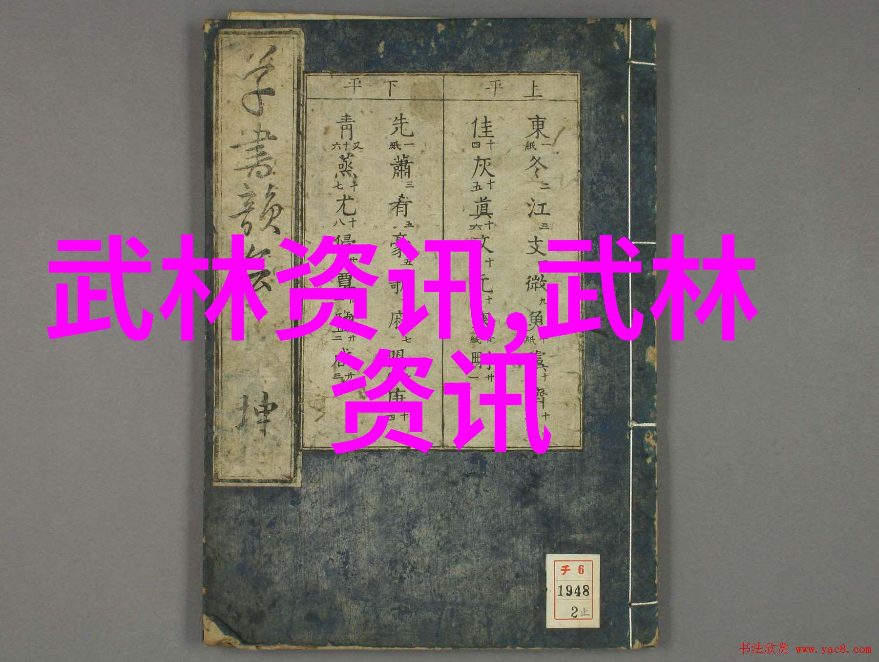 中国武术巨擘临清肘捶打破十大排行榜的巅峰之作