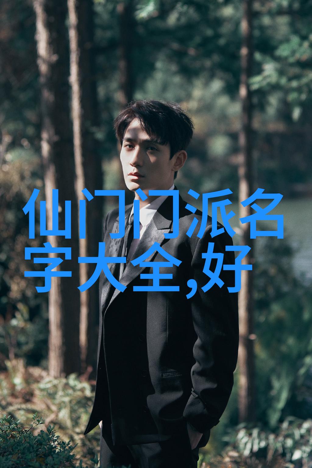 武术教程-掌握经典咏春拳全套教学指南
