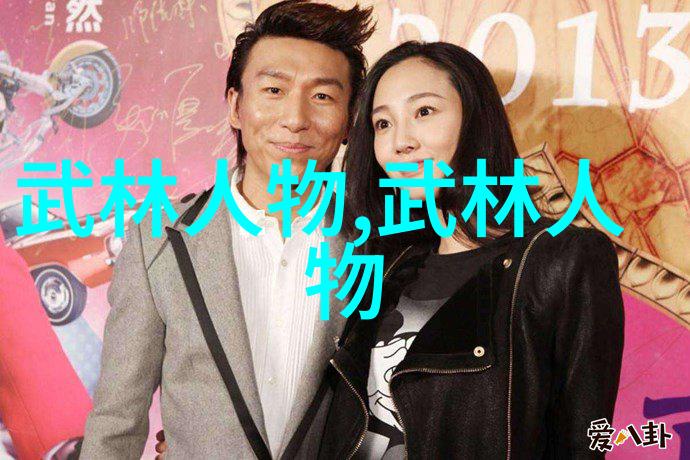 杨式四十式与四十二四十八的武功秘籍内容比较分析