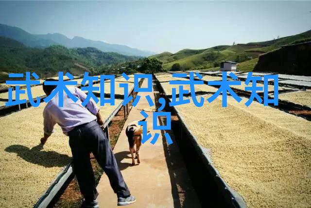 风云帮梦破晓