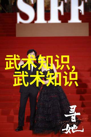 中国武术有多少种拳法 - 探秘中华拳艺揭秘中国武术中各种拳法的丰富多样