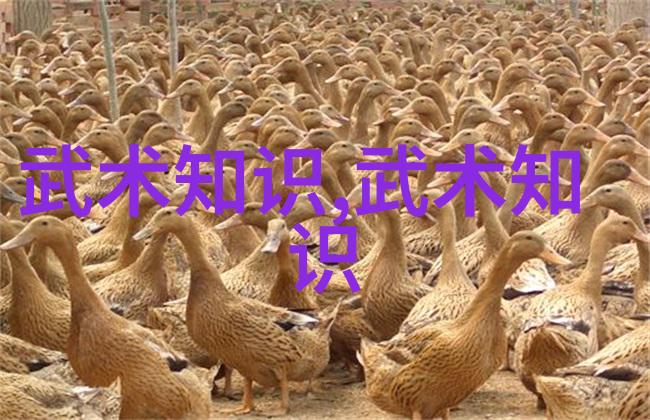 中国运动游泳持久健身之选13岁女孩突发泳衣危机揭示技术与效率的双重考验