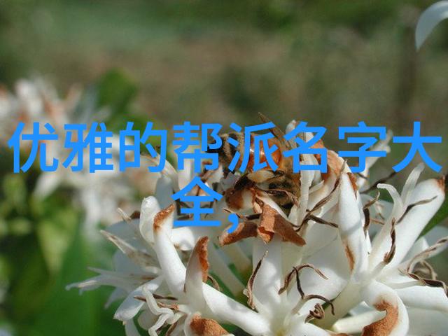 揭秘陈氏太极拳震脚技巧邱慧芳24式太极拳全套教学解密