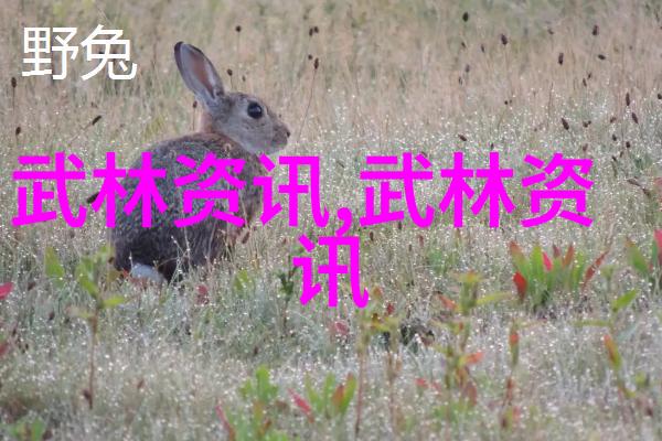 太极内功步罡踏斗绘声绘影地领悟太极拳24式的精髓