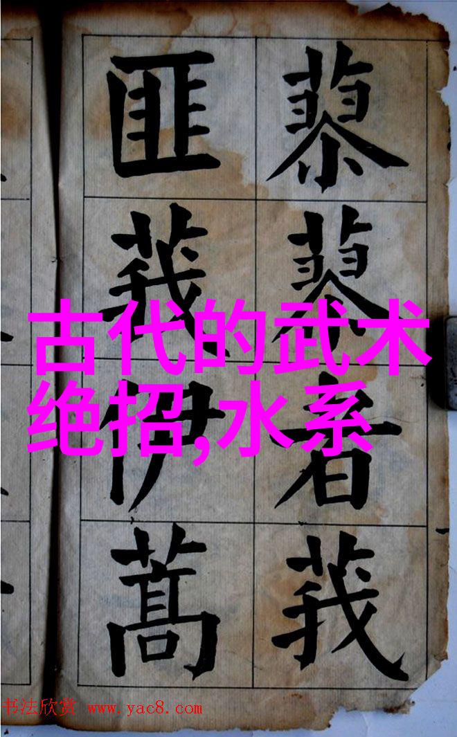 自己在家练武术的教程揭秘成为武侠的第一步