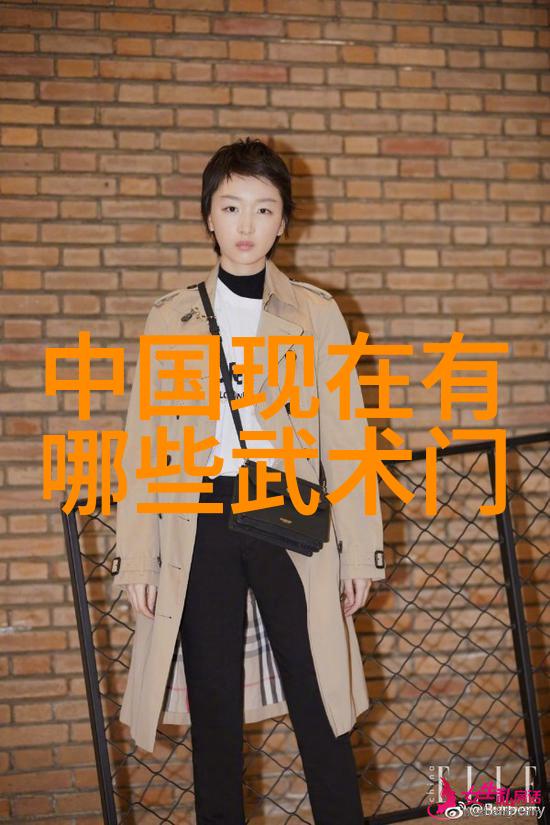 杨志英的24式太极拳分解动作教学漫谈以物品为场景探索基础理论