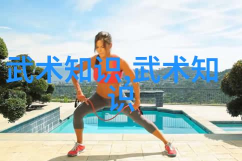 武林秘籍招式大全带图-揭秘武林绝学图解招式全集