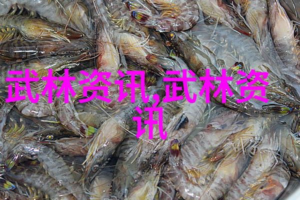 武林中的孤独者孙振峰的沉默之声