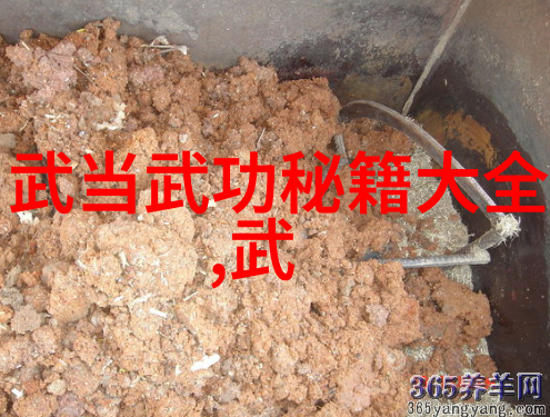 国际攀岩精英赛将举办