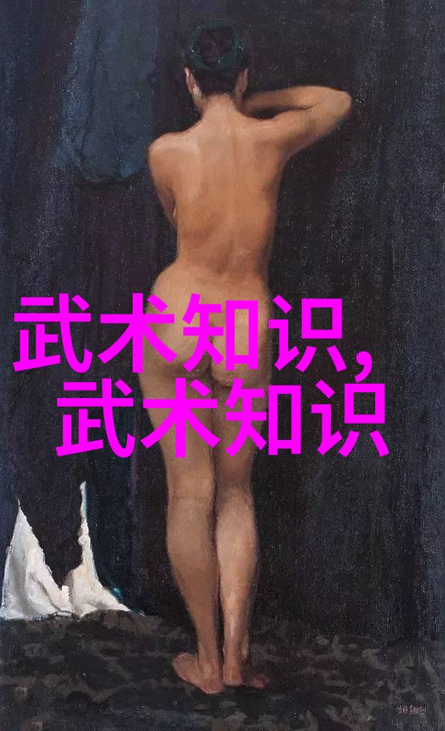 中国拳法-探秘中国拳法之多样从太极拳到武术各家派