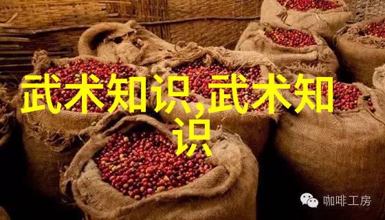 世界拳击锦标赛刘易斯VS 斯皮瓦克大战前瞻