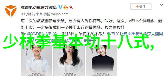 反复奏响的四字高雅不俗游戏名杨氏太极拳