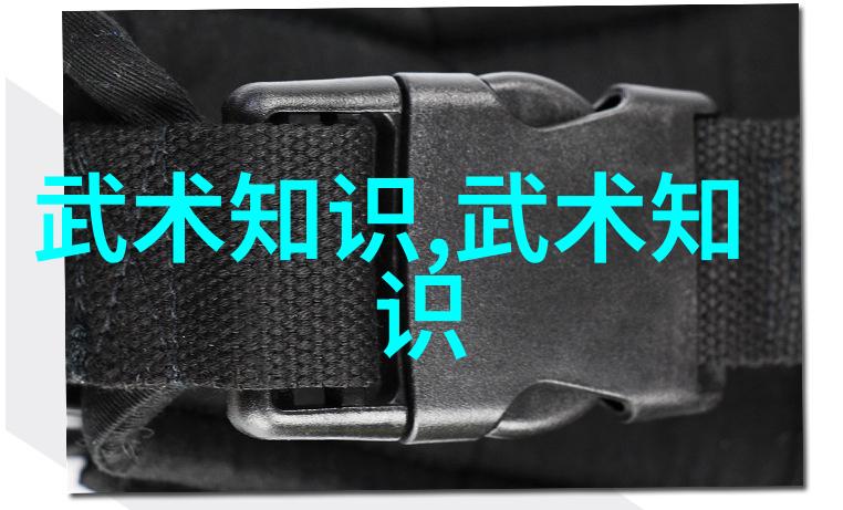 揭秘太极拳24式图解每一步背后的哲学奥义