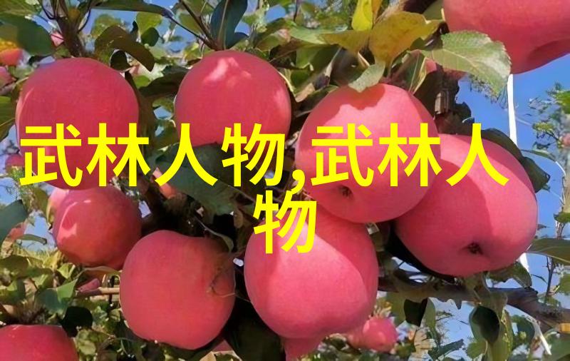 太极虎背功48式拳法舞动全套视频带口令揭秘内家武学秘笈