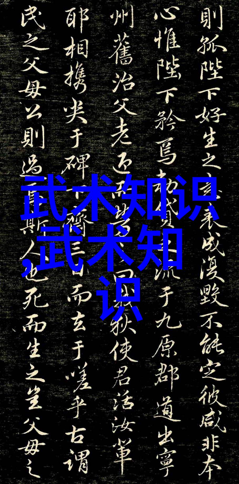 幻影盟主仙气的幽灵名录