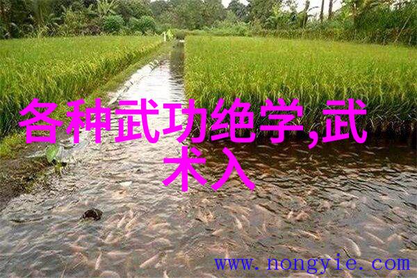 武林门派揭秘穿越小说中的古老传统与权力斗争