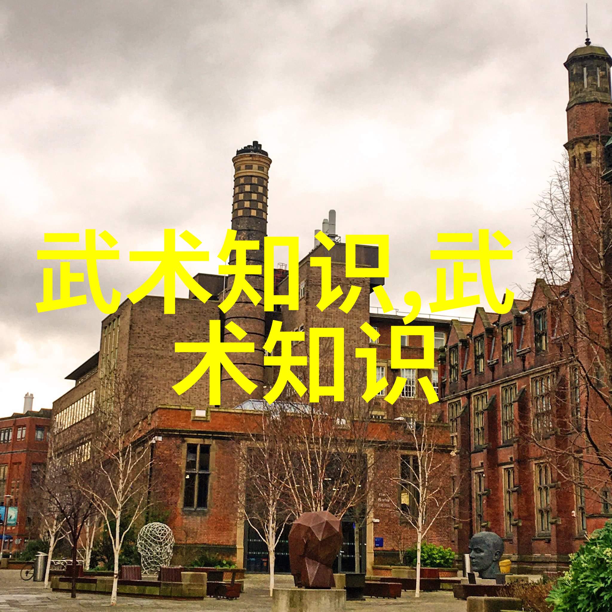 武林八大门派掌门人我是他们中的一个风云变幻中的沉稳者