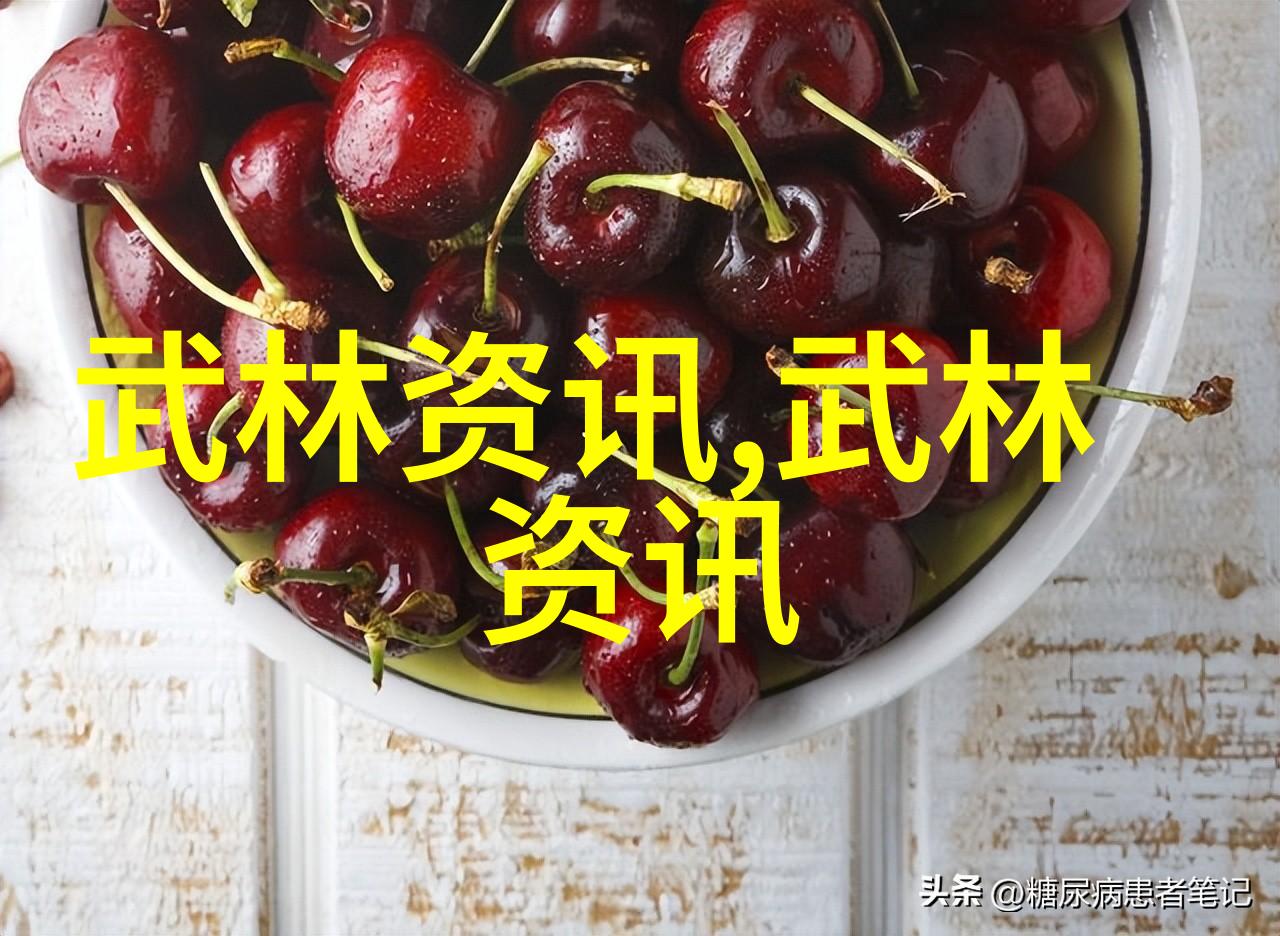 武功秘籍大全拳法艺术的精髓画像