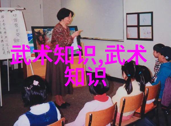 南拳与华拳比较研究探究两者武学实践与理论差异的根源
