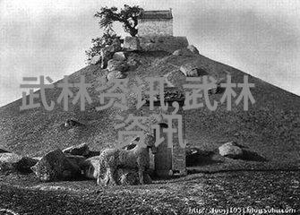 武术刚开始练什么我从一拳到无敌揭秘初学者的正确训练方法